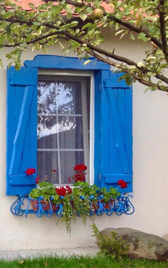 Flower Street Свитязь Экстерьер фото